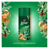 Lenor scent booster Sandalwood & Eucalyptus 155g, UK version