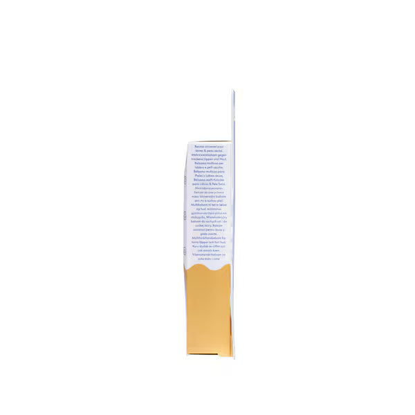 Lanolips 101 Ointment Multi-Balm Glazed Donut 10g, UK version
