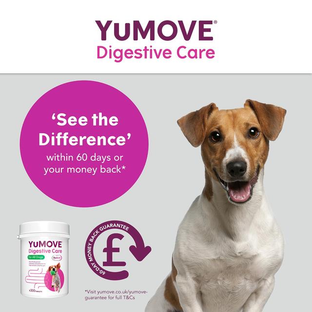 YuMOVE Dog Digestive Health Probiotics Supplement 300 per pack GOODS M&S