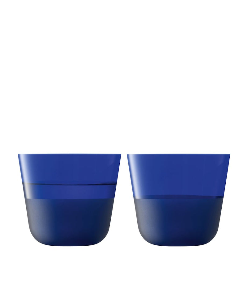 LSA International Arc Contrast Tumblers set of 2 260ml, UK version