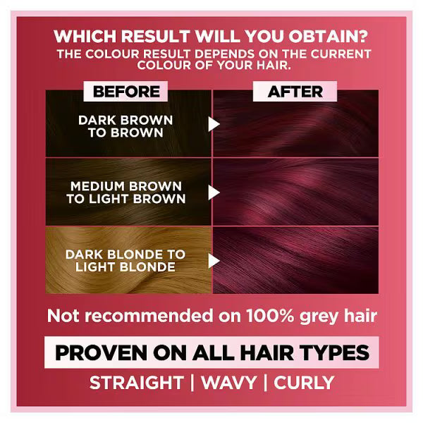 Garnier Permanent Hair Dye 5.64 Terracota Chili, UK version