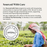 Twinings Superblends Detox with Lemon Ginger & Fennel 20 per pack - McGrocer