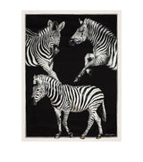 Dolce&Gabbana Casa Silk Zebra Quilted Throw 140cm x 180cm