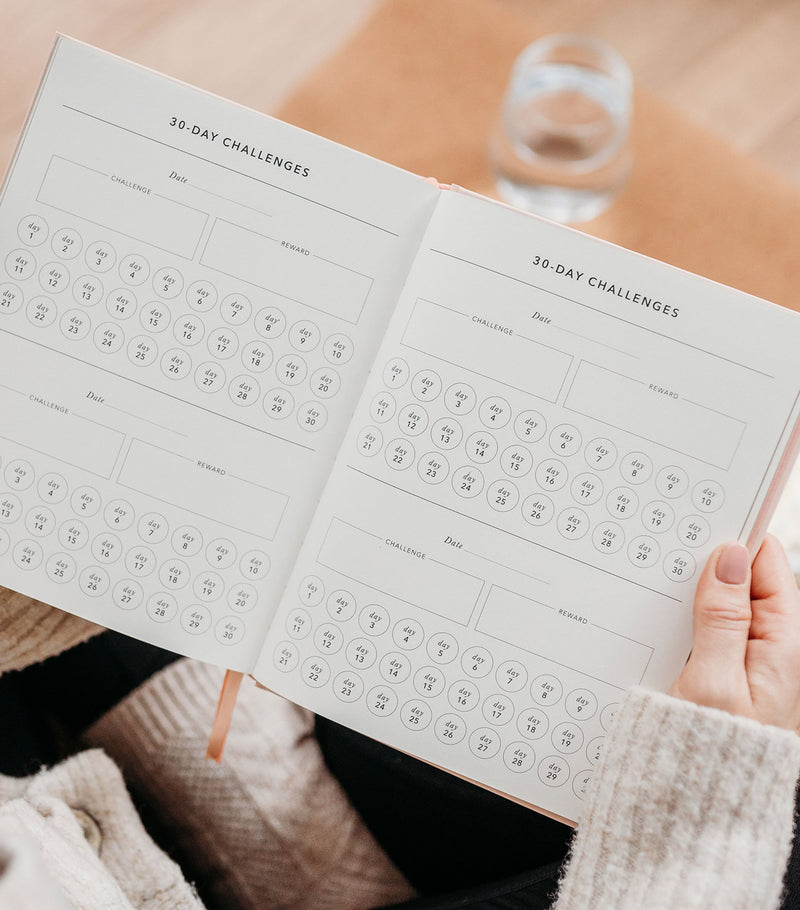 Blush and Gold Daily Fitness & Meal Planner