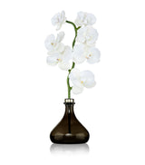 Senti The Orchid Diffuser Pepper & Spice Reed Diffuser 250ml