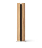 Bang & Olufsen Beosound Emerge AL2 speaker - British product