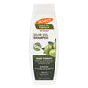 Palmer's olive oil shine therapy shampoo (British brand)