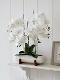 White real touch orchid with pot and stand (British brand)