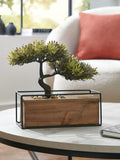 Bronx green artificial bonsai tree in wood pot 25.5cm height, UK version