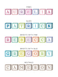No Ordinary Gift wooden building blocks personalised baby print 18x40cm (British brand)