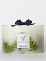 French Connection Botanical Infused Vetivert Eucalyptus Sea Salt Pillar Candle 1.5KG