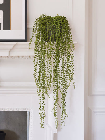 Beards & Daisies Green Artificial String Of Pearls Artificial Plant 50cm