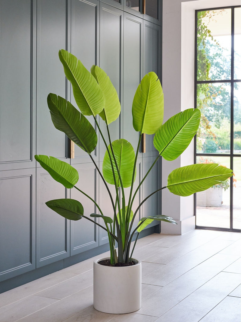 Beards & Daisies Green Artificial Bird of Paradise Plant