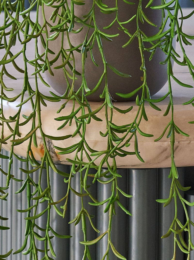 Beards & Daisies Green Artificial String Of Dolphins