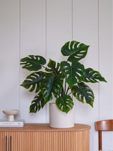 Beards Daisies Green Artificial Monstera Plant 80cm