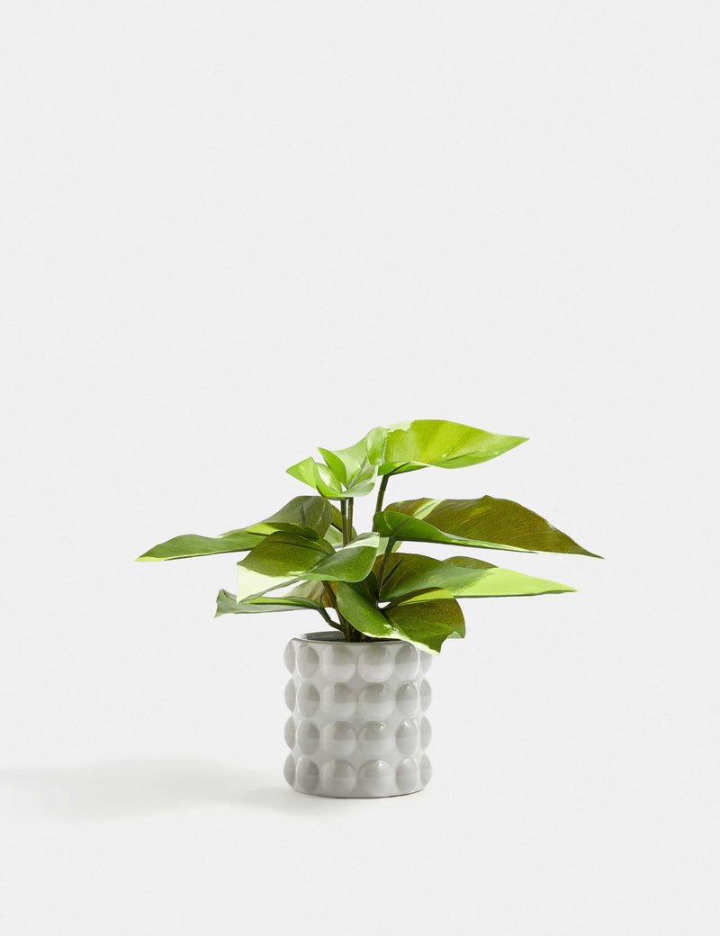 Artificial Philodendron in Ceramic Pot