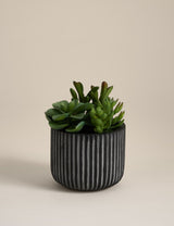 Moss & Sweetpea Artificial Succulents in Ridged Cement Pot Indoor Planter