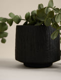 Artificial trailing baby plant in textured ceramic pot 36.8cm height - British product