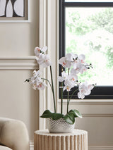 Silver/White Artificial Real Touch Orchid in Geo Pot Artificial Plant 56cm