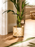 Nina Campbell Ochre Lotus stoneware plant pot with embossed leaf design, imported from the UK.