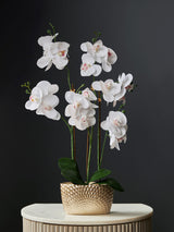 Gold/White Artificial Real Touch Orchid in Geo Pot Indoor Planter 56cm Height