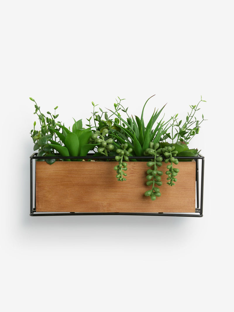 Green Artificial Succulent Garden in Bronx Wood Trough