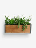 Green Artificial Succulent Garden in Bronx Wood Trough