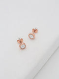 Ted Baker rose gold crystal stud earrings 0.6cm (British brand)