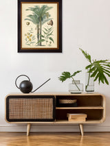 Brookpace Lascelles Black Fruitful Palm I Framed Wall Art 51cm x 41cm