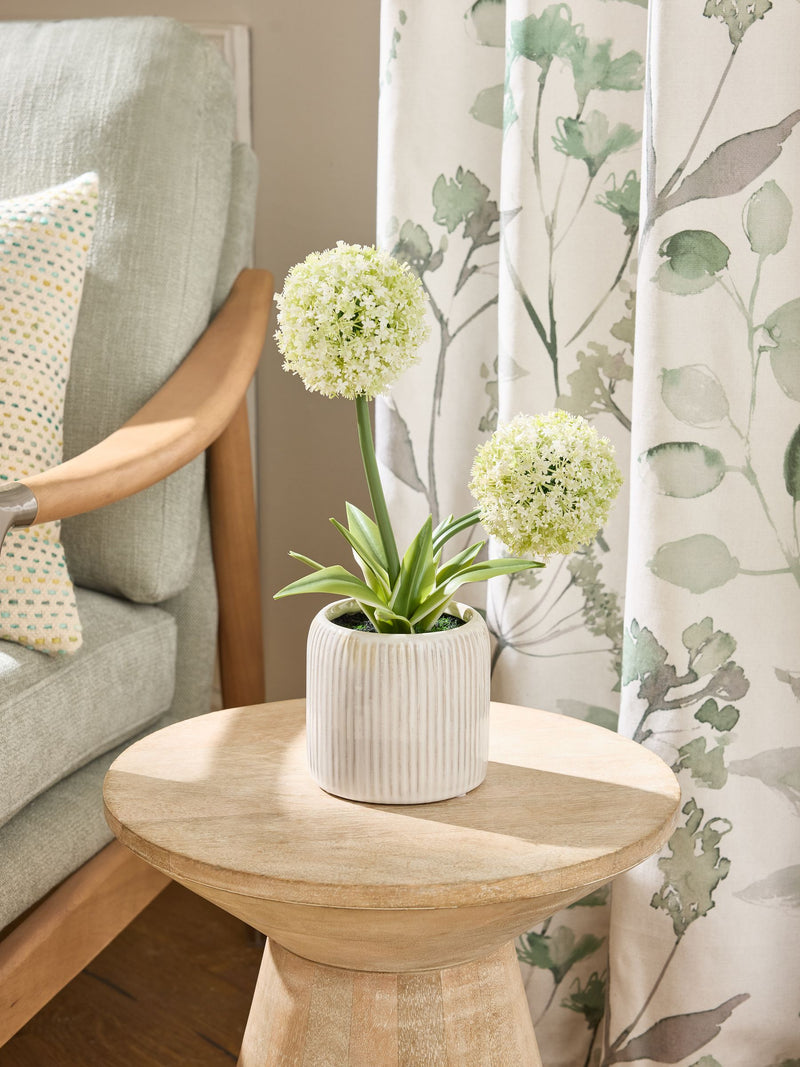 White artificial allium plant in ribbed ceramic pot 31.5cm tall (British brand)