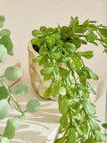 Green Artificial Trailing Plants In Mini Gold Hex Pots