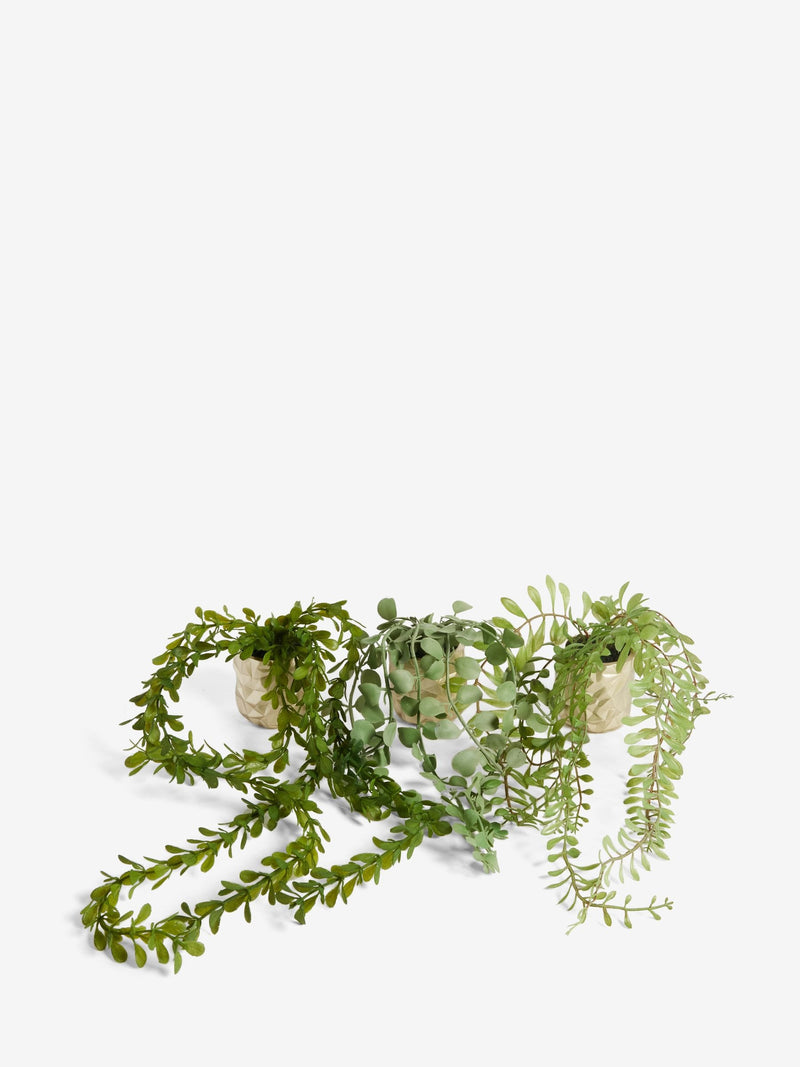 Green Artificial Trailing Plants In Mini Gold Hex Pots