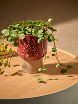 MADE.COM Terracotta & White Santiago Hand Splatter Small Ceramic Plant Pot