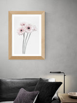 East End Prints Oak Gerbera Daisy Framed Art Print