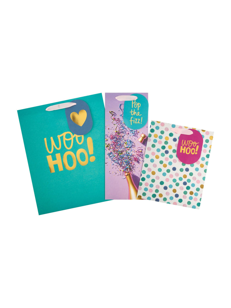 Hallmark Multi 3 Celebratory Designs Gift Bags Set of 3