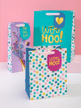 Hallmark Multi 3 Celebratory Designs Gift Bags Set of 3