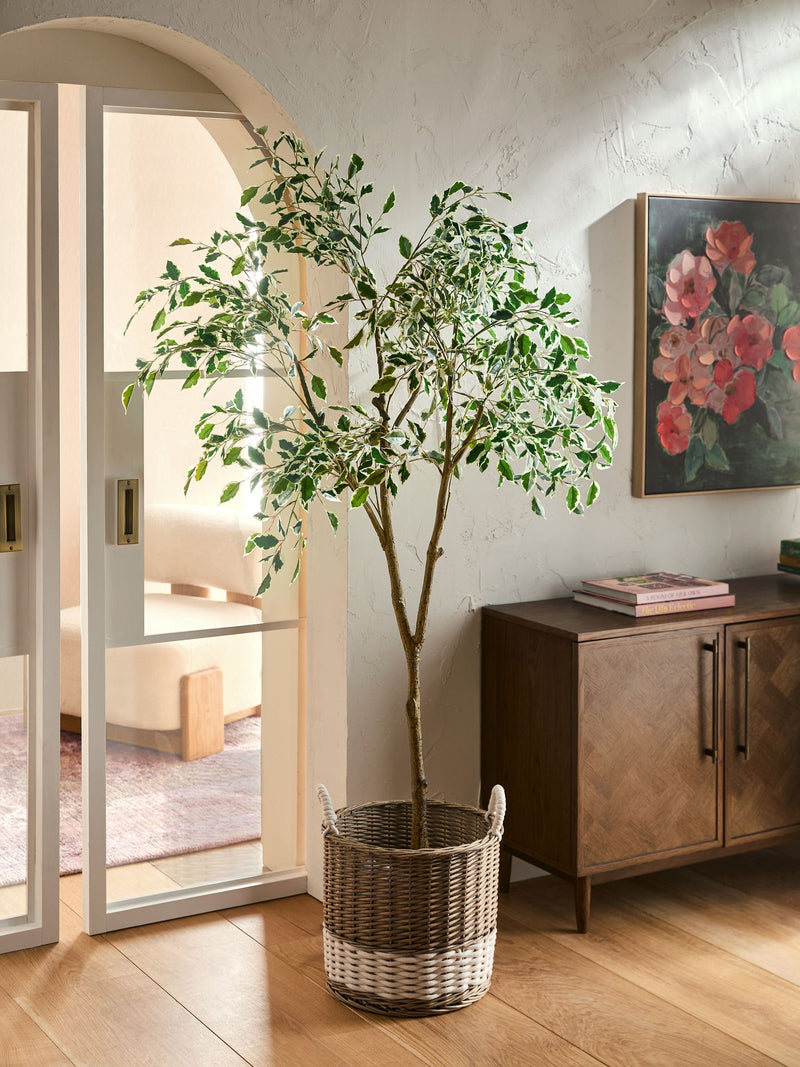 Green Artificial Benjamina Tree With Variagated Leaves