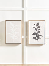 Pacific Natural Leaf Print Framed Canvas Set of 2 Wall Art 50x35x4cm