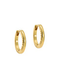 Ted Baker gold hoop earrings 1.3cm wide (British brand)