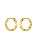 Ted Baker gold hoop earrings 1.3cm wide (British brand)