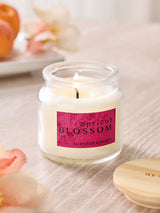 Apricot Blossom Mango & Mandarin Country Classic Mini Candle 6cm