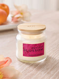 Apricot Blossom Mango & Mandarin mini candle 6cm - British product