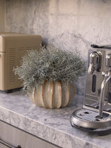 Sixty3 Styled Natural Lydia Pot Ceramic Planter Small