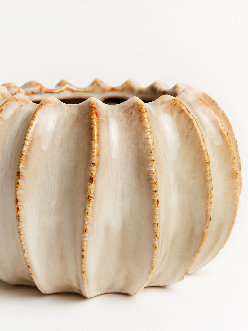 Sixty3 Styled Natural Lydia Pot Small Ceramic Planter (British brand)