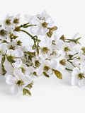 White artificial blossom 3 stems (British brand)