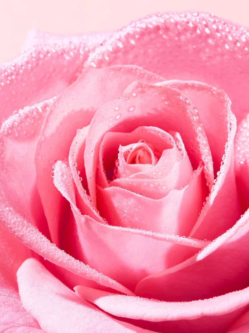 Nuxe Very Rose Light Cleansing Foam 150ml, imported from the UK