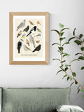 East End Prints Oak Garden Birds framed art print - British product