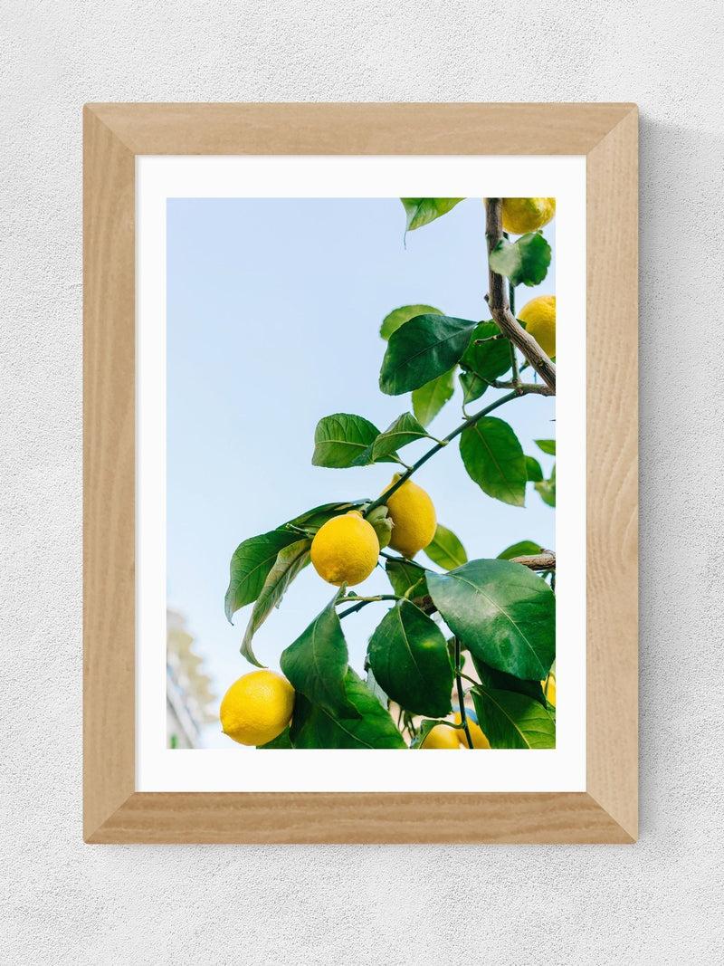 East End Prints Oak Amalfi Coast Lemons framed art print - British product