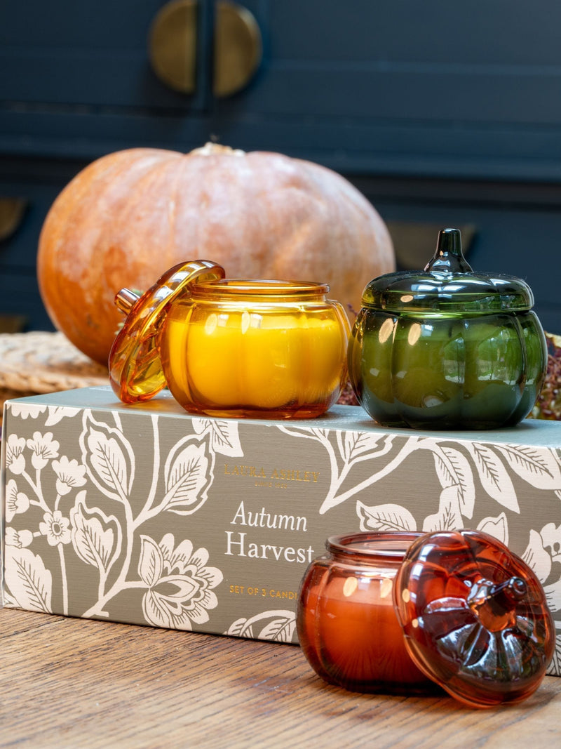 Laura Ashley Autumn Harvest Scented Pumpkin Set of 3 Candles