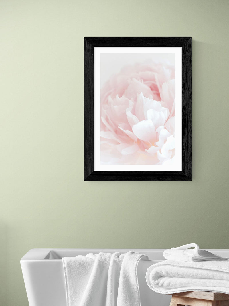 East End Prints Black Peony 05 wall art print - British product
